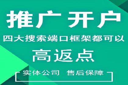信息流广告投放公司案例策略解析